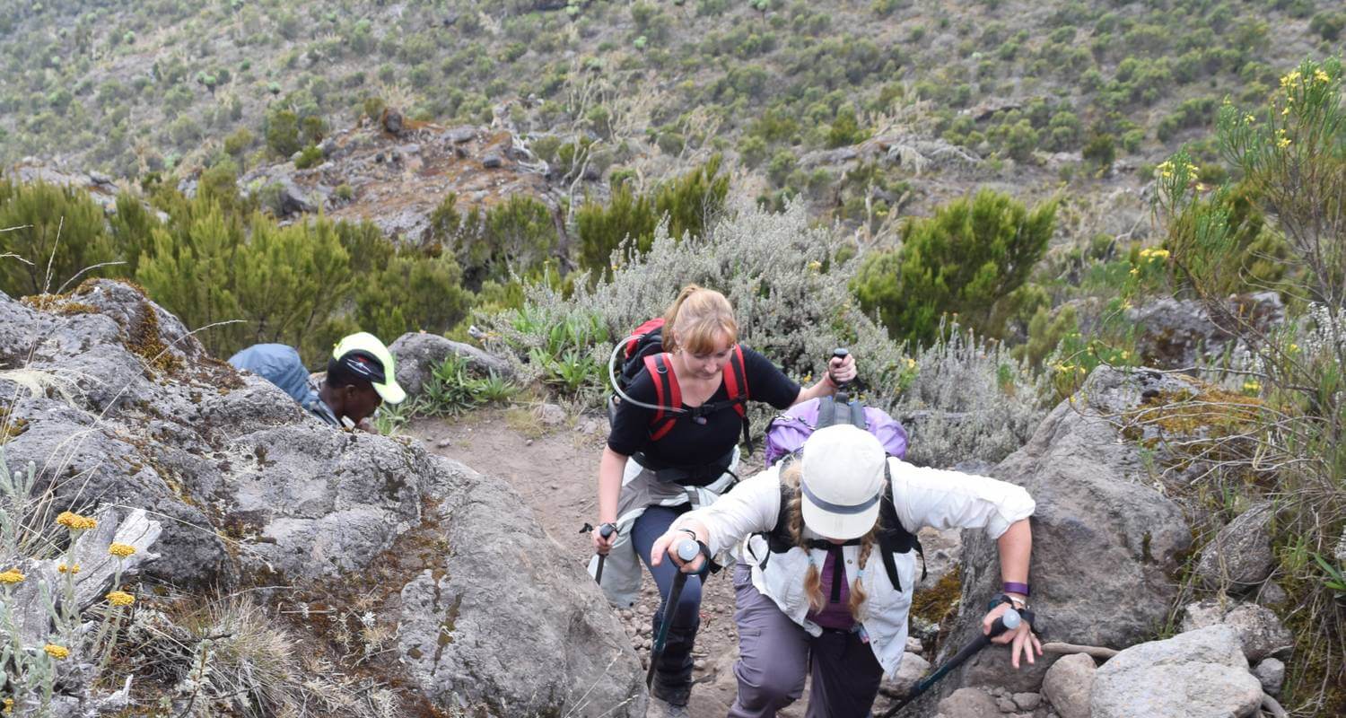 5 Days Marangu Route