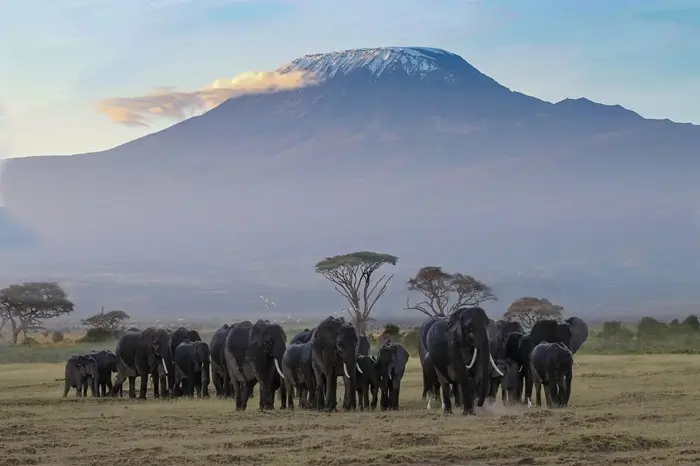 Mt. Kilimanjaro