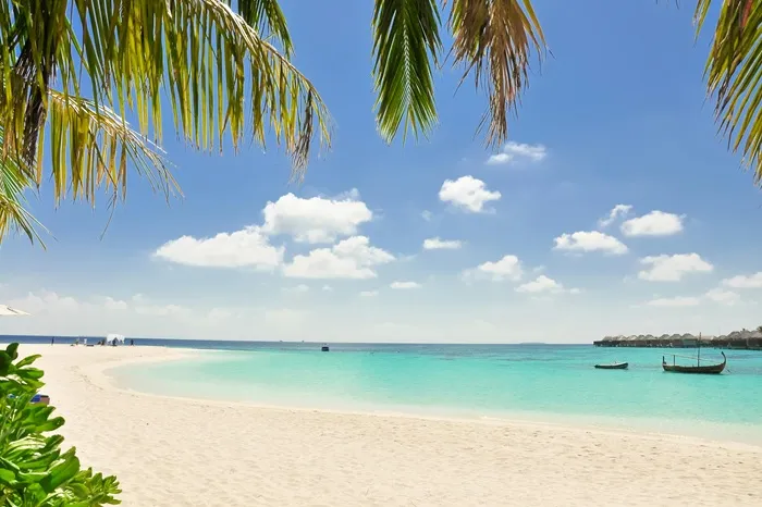 6 Days of Adventure : Tanzania Wildlife Safari & Zanzibar Paradise.