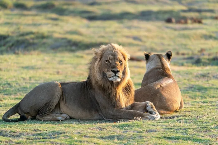 4- Days Tanzania - Discover the Big Five and Africa's Natural Wonders