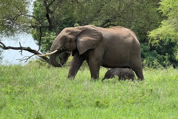 4 Days Of Luxury And Authentic Adventure In The Heart Of Serengeti